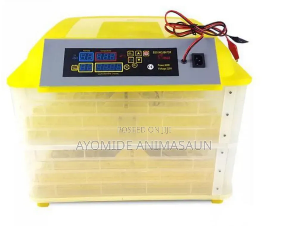 Egg Incubator