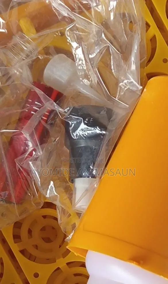 Egg Incubator