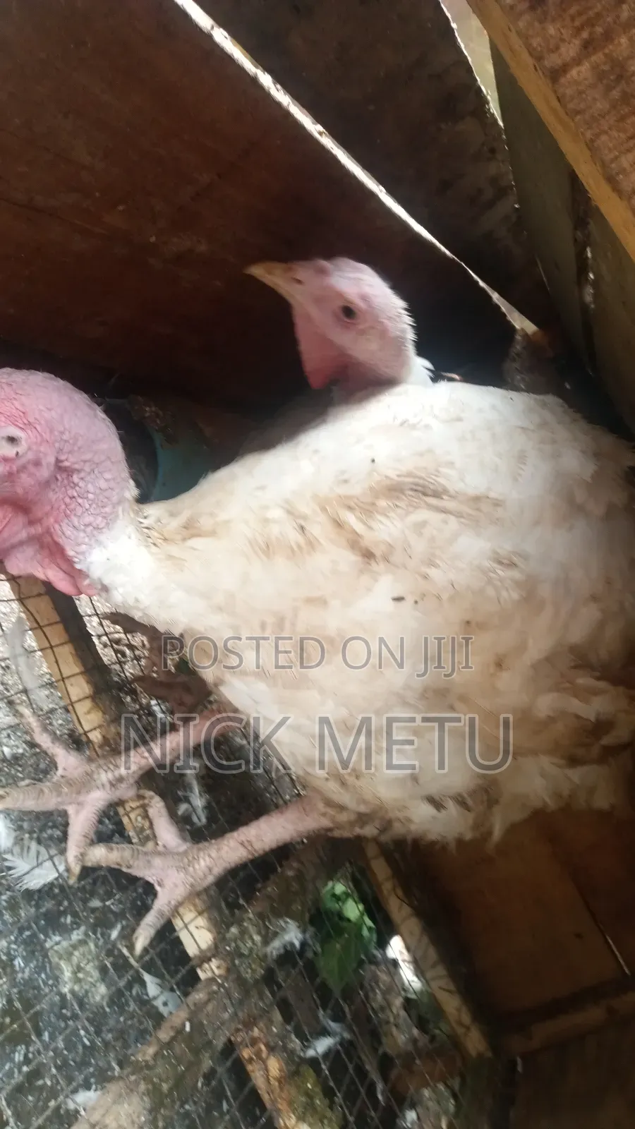 Turkey Foreign