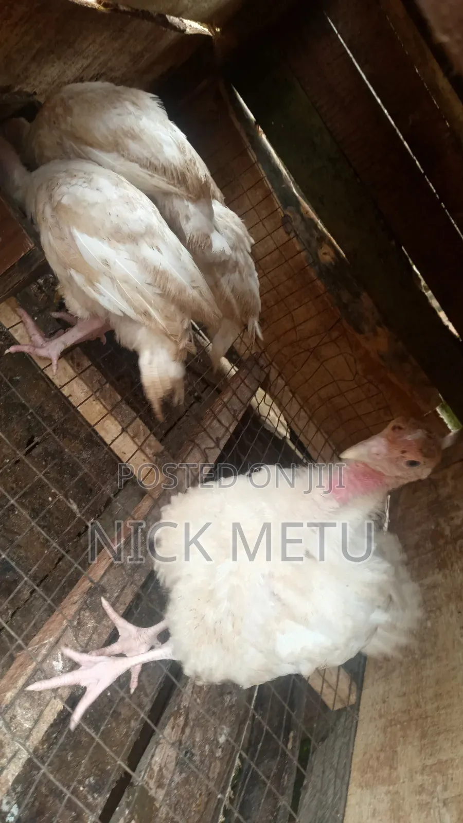 Turkey Foreign