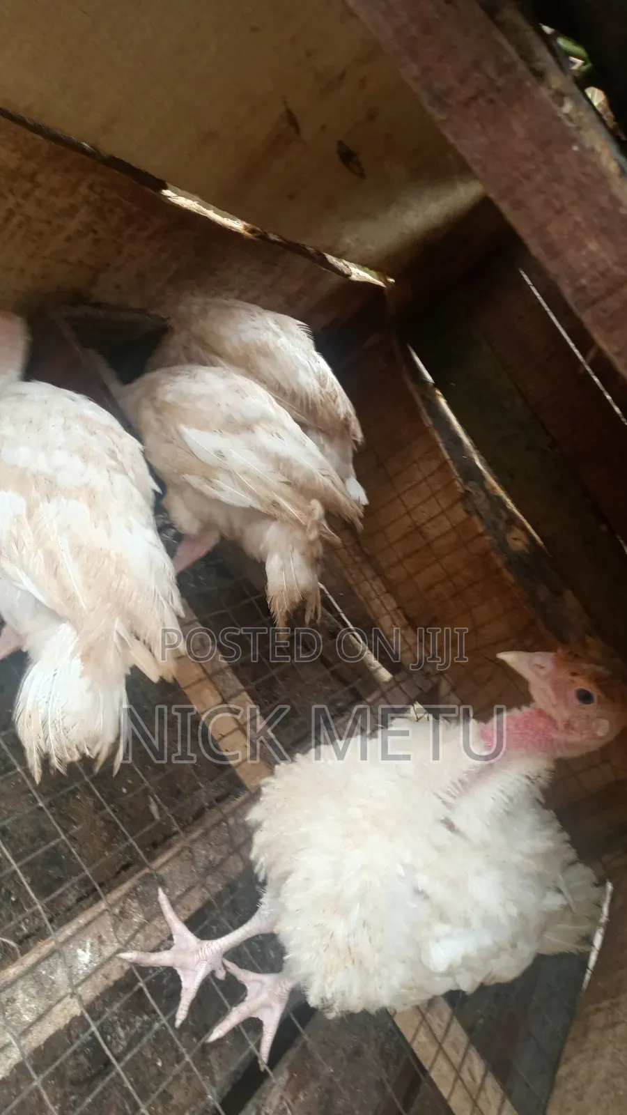 Turkey Foreign