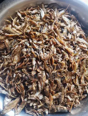 Fish for Dog (Kg)