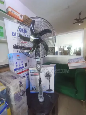 Rechargeable Fan 18"