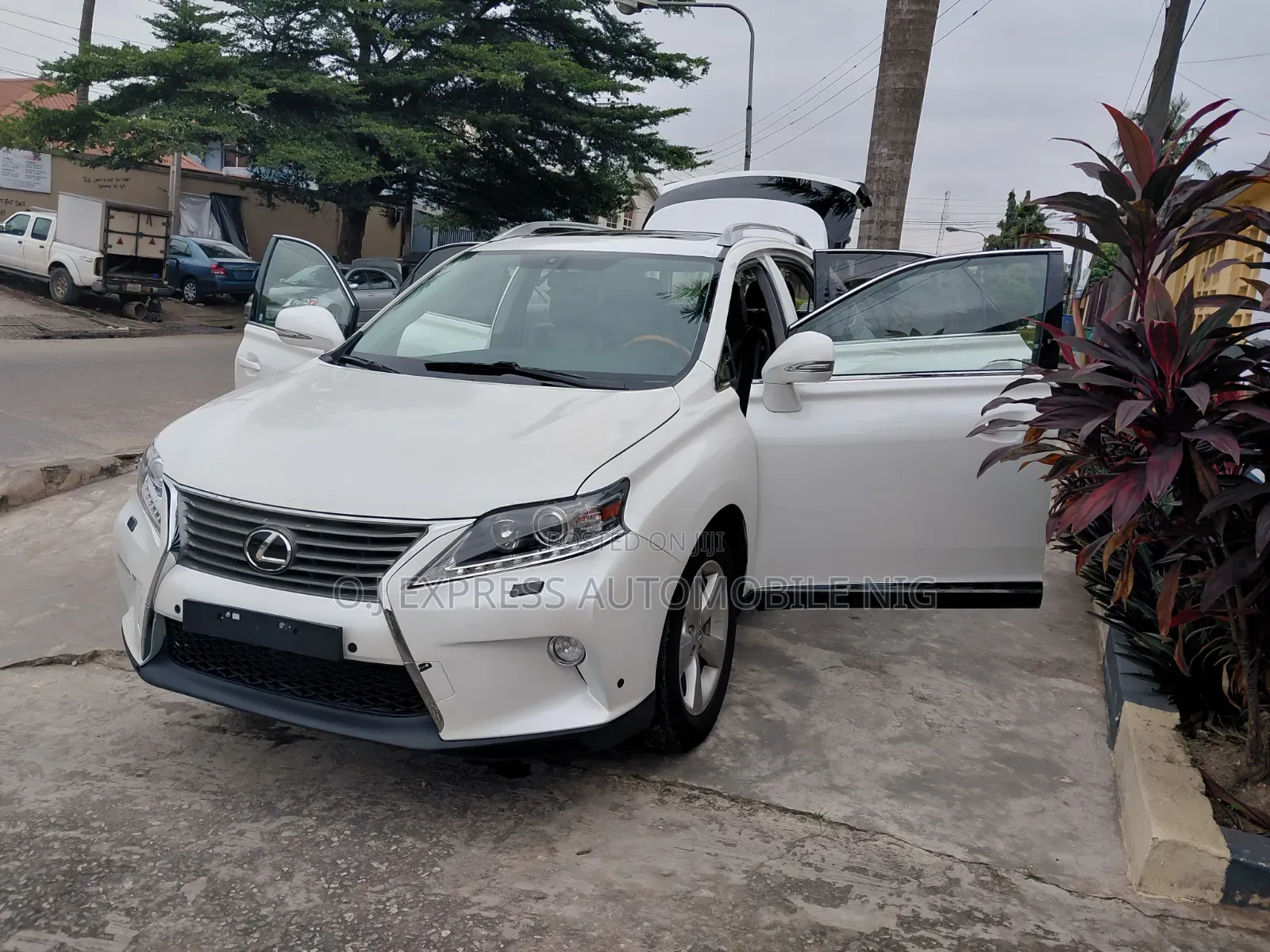 Lexus RX 2013 White