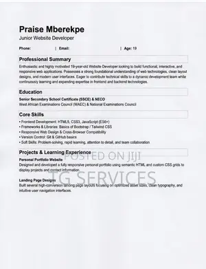 Full-Stack Web Developer