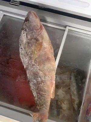 Croaker Fish 2kg