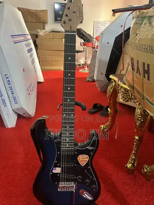 Lead Guitar and Effect Pedal