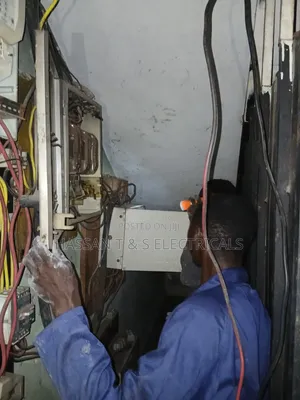 Professional Electrician