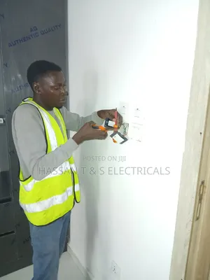 Professional Electrician