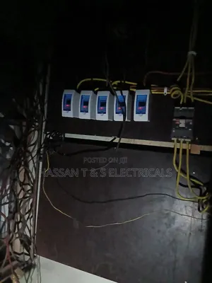 Professional Electrician