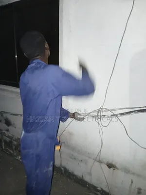 Professional Electrician