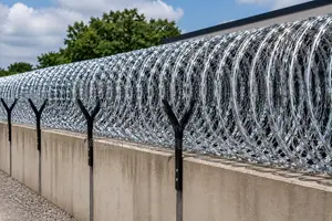 Galvanized Barbed Wires /Fencing Wire