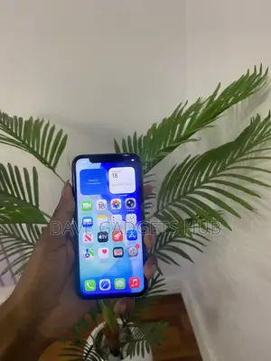 Apple iPhone 11 Pro Max 256 GB Black