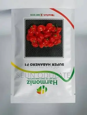 Super Habanero F1 Seedlings