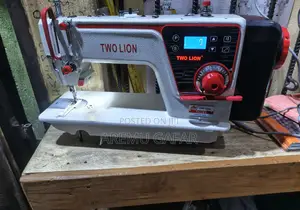 Two Lion Industrial Direct Drive