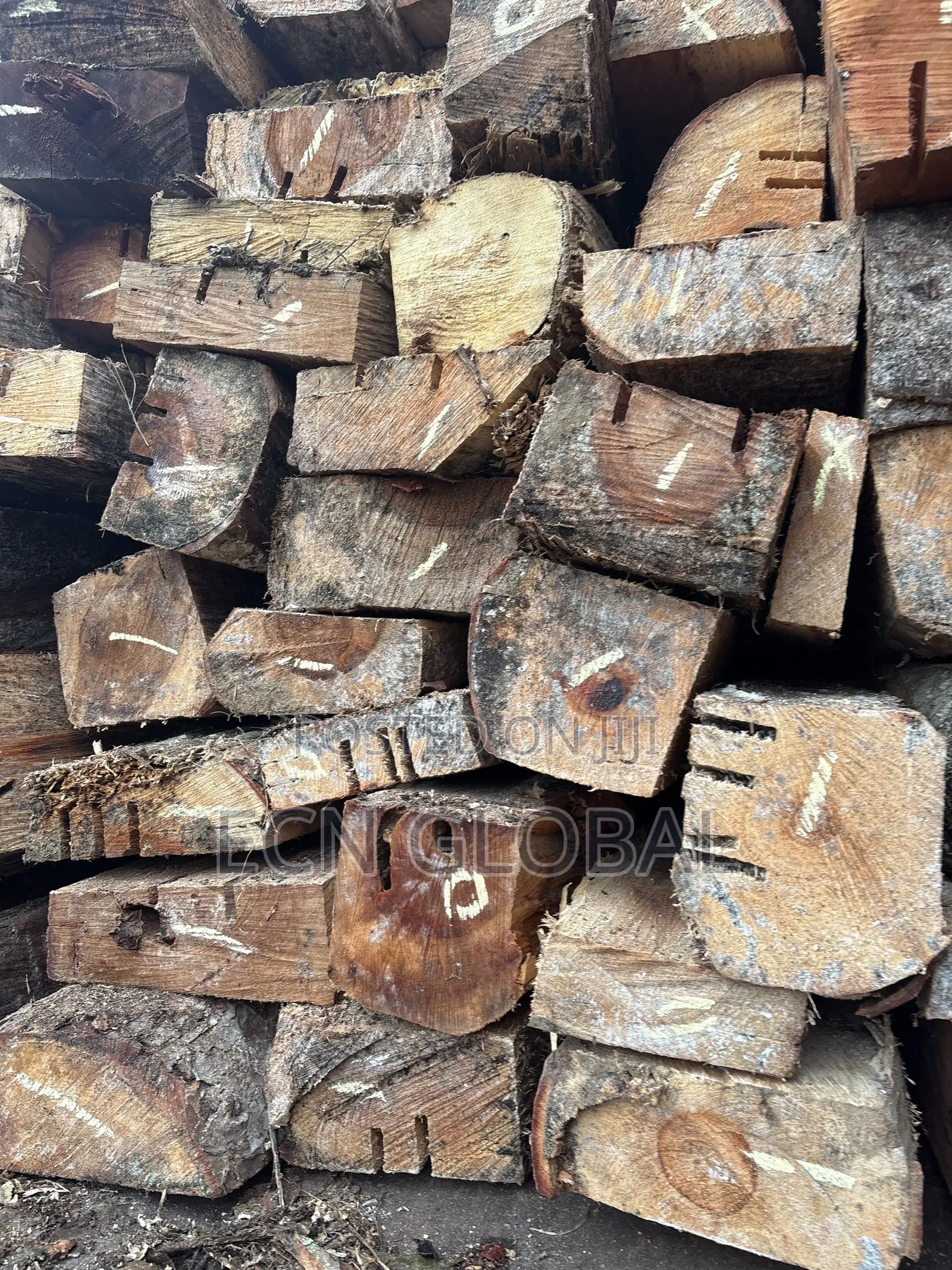 Wood Timber