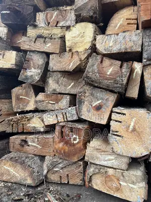 Wood Timber