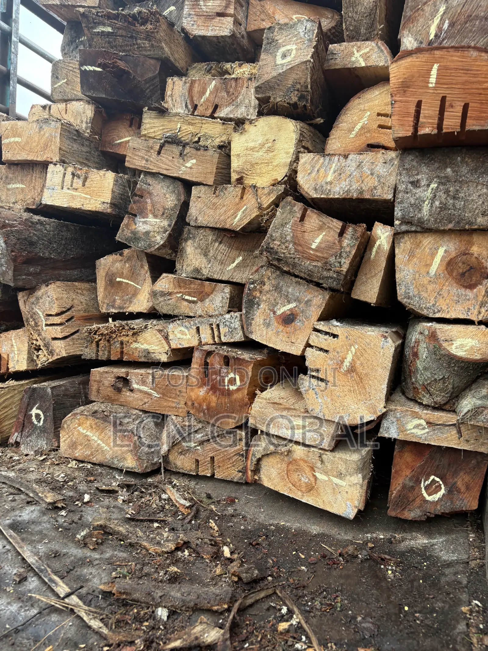 Wood Timber