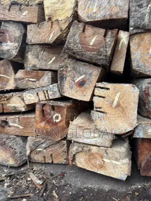 Wood Timber