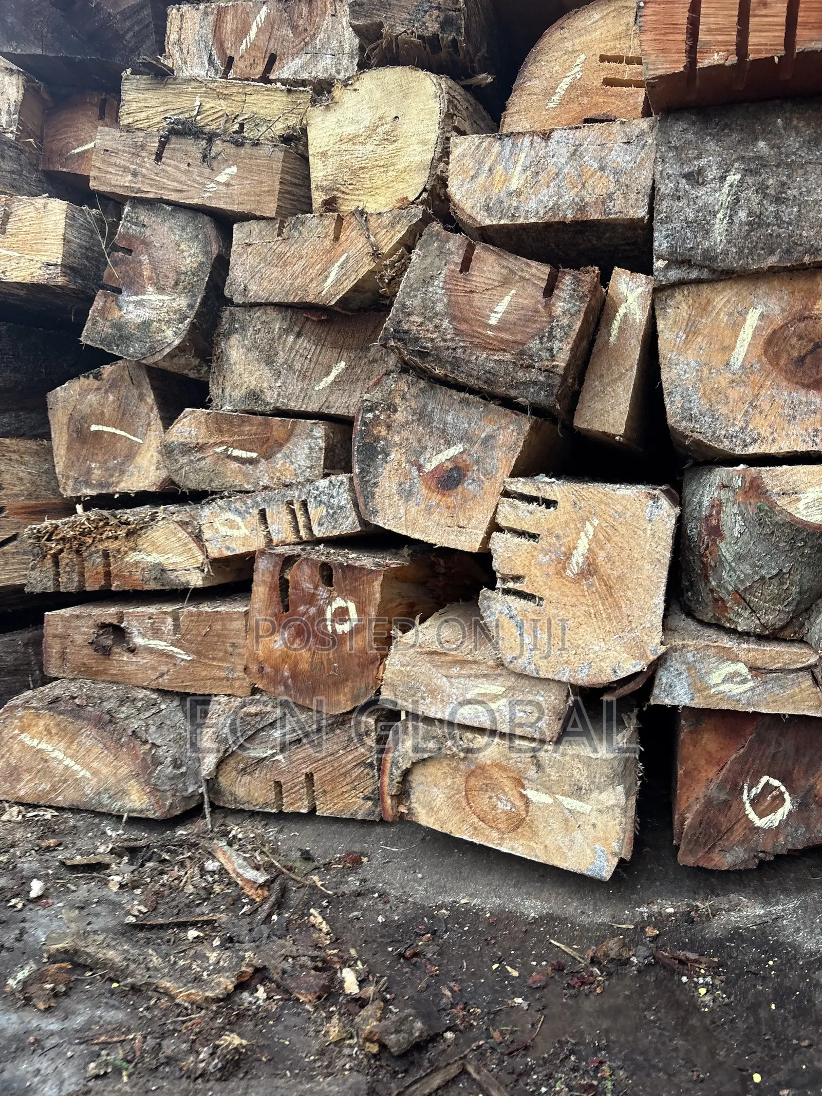 Wood Timber