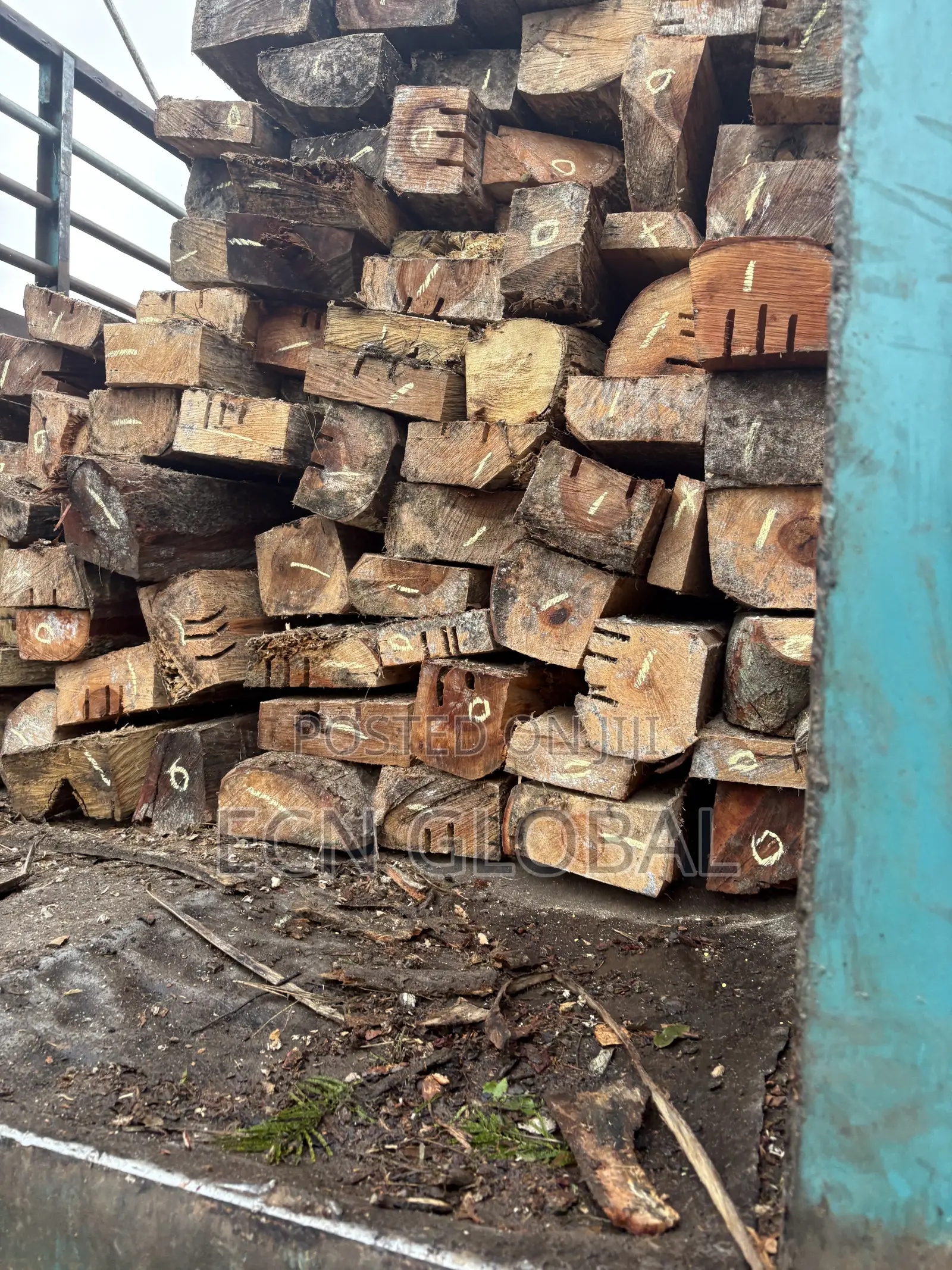 Wood Timber