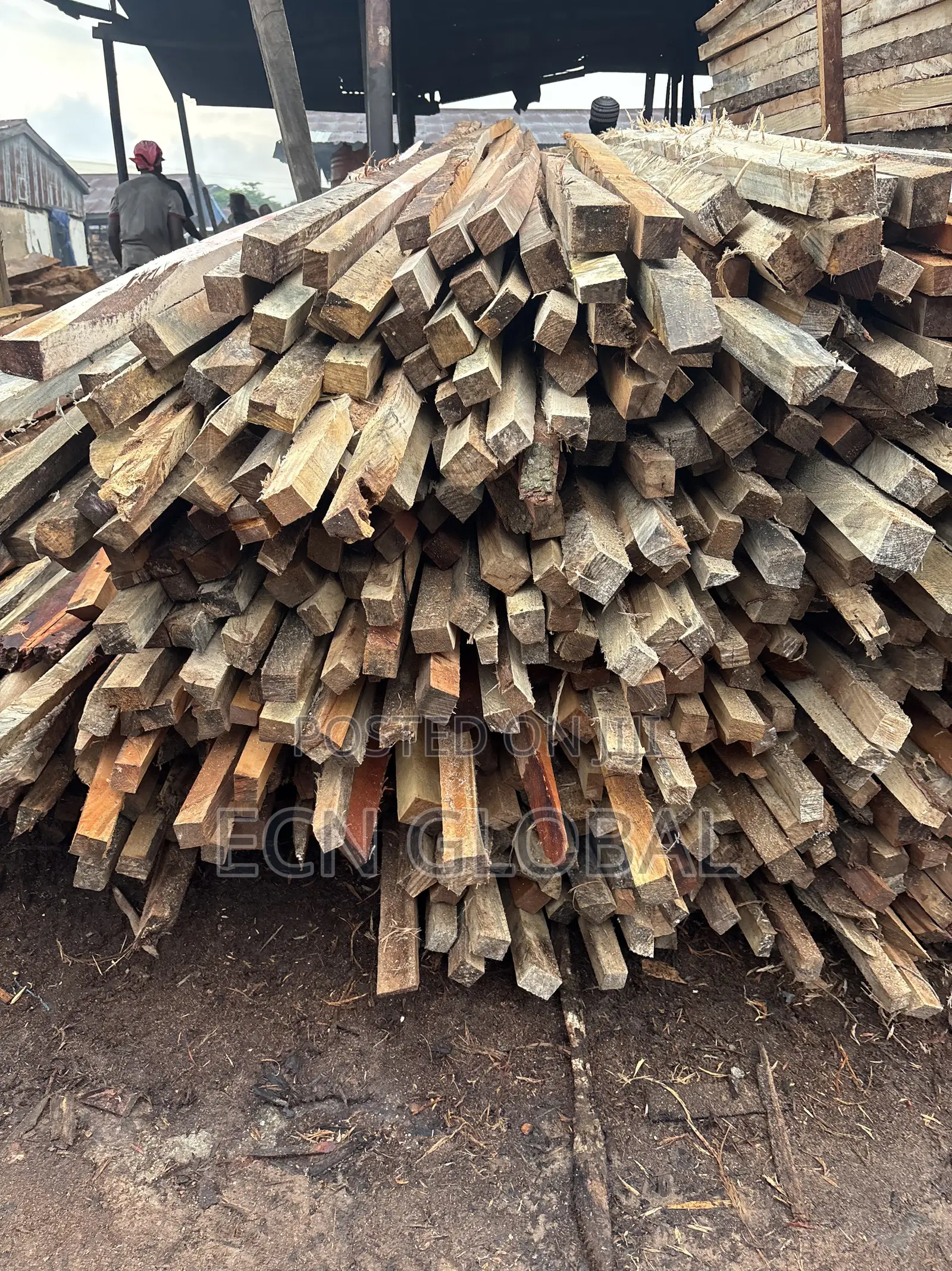 Wood Timber