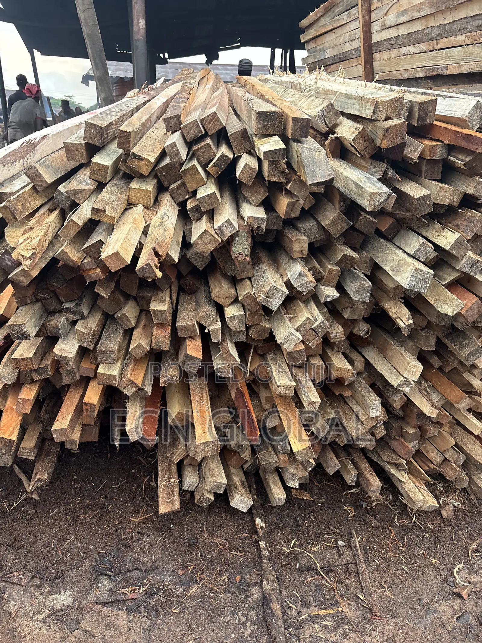 Wood Timber