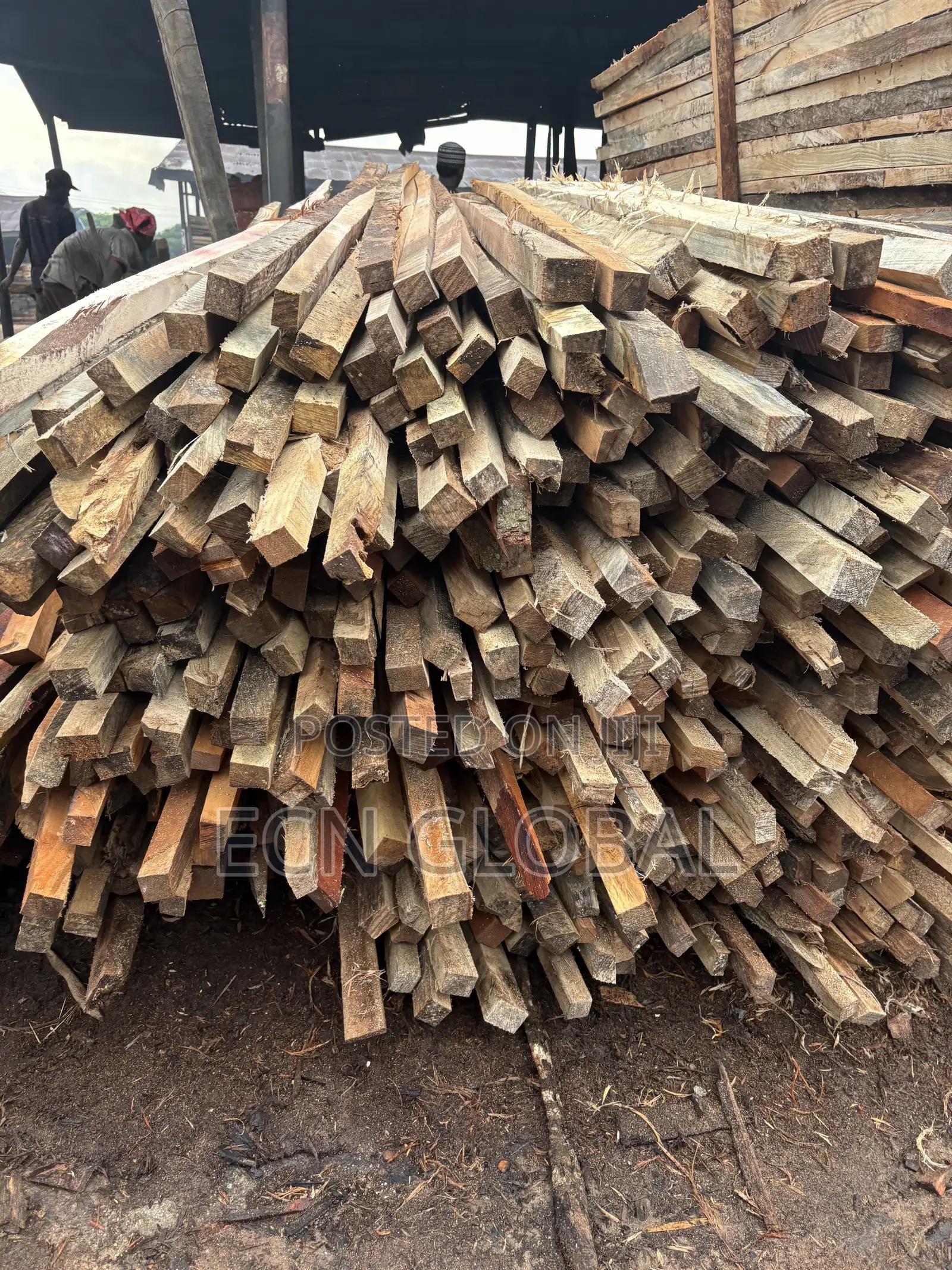 Wood Timber
