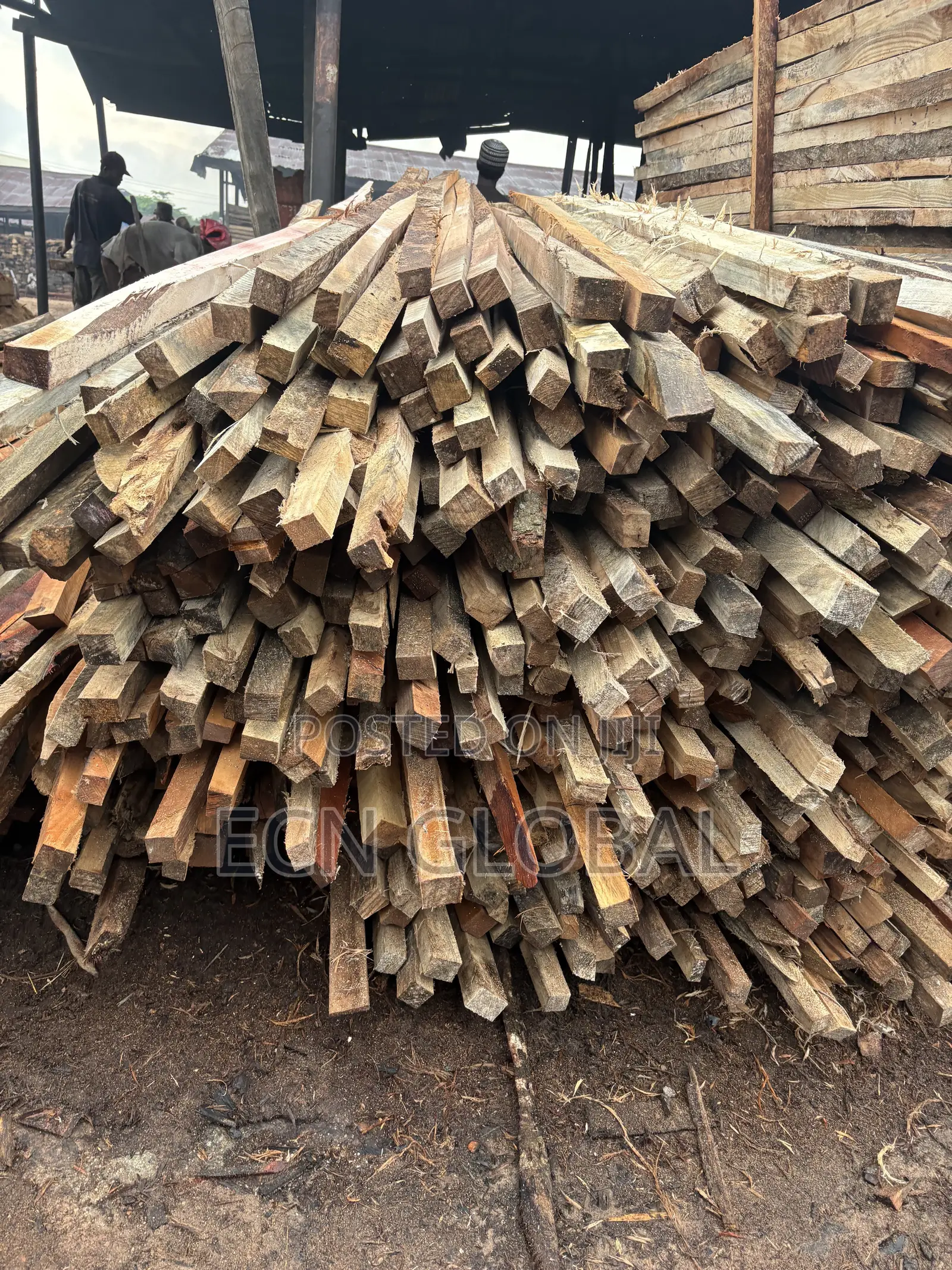 Wood Timber