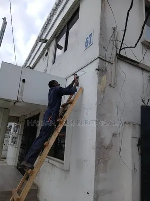 Professional Electrician