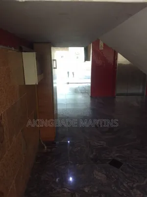 Mr. Akingbade Martins