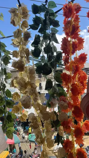 Creeping Flowers