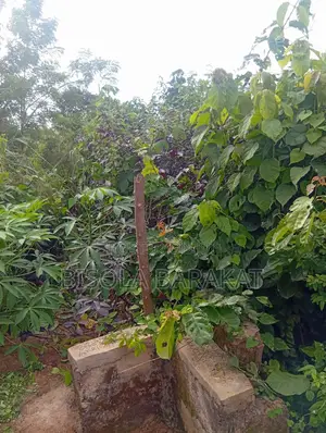 A Plot of Land Is Available for Sell