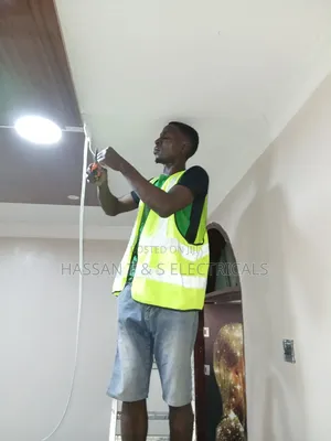 Professional Electrician