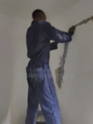 Professional Electrician