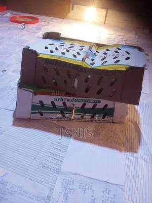 Poultry Farm and Feed
