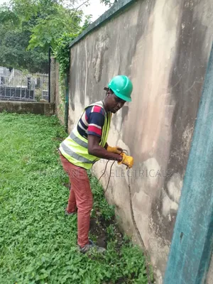 Professional Electrician