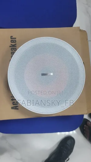 Original Bluetooth Ceiling Speaker 30watts, Single Lucky Tone Product