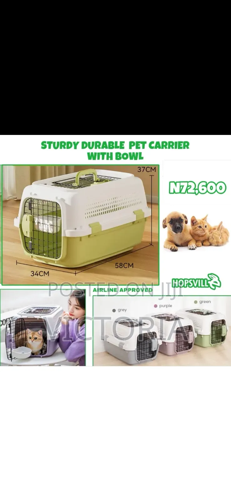 Pets Supplies