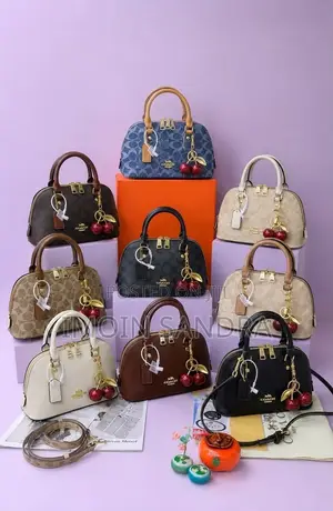 Beautiful Channel Bags  Different Colors and Sizes