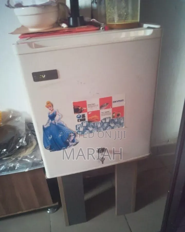 Bedside Fridge,electric Deep Fryer,Gotv Decoder Antenna and Remote
