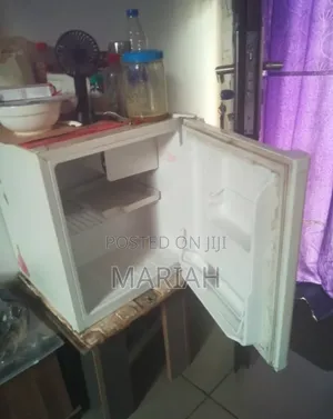 Bedside Fridge,electric Deep Fryer,Gotv Decoder Antenna and Remote