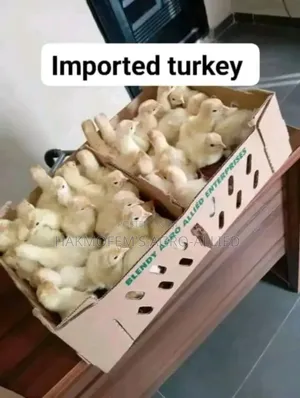 Imported Turkey