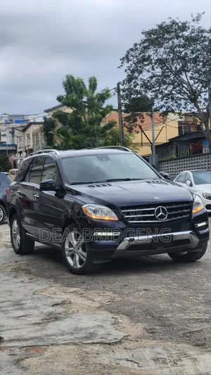 Mercedes-Benz M Class 2014 Blue