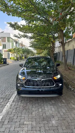 Toyota Highlander 2022 Orange