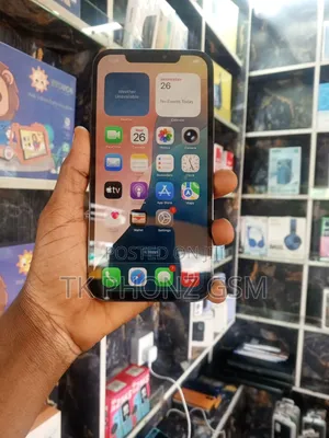 Apple iPhone 12 Pro Max 128 GB Gray