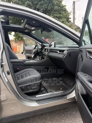 Lexus RX 2020 Gray