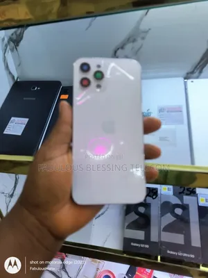 Complete iPhone 12 Pro Max Carcass