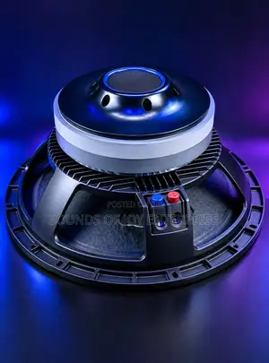 15 Inches RCF Professional SPEAKER