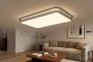Modern Simple Luxury Rectangular Acrylic Ceiling Light.